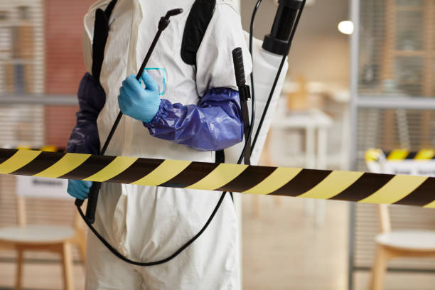 Professional Sewage Cleanup technician working in Arnold, NE